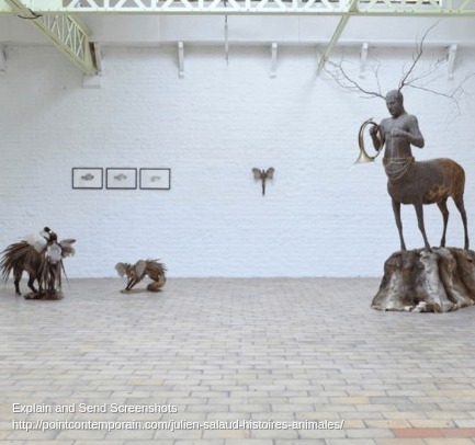 Screenshot of Julien Salaud, Histoires animales - pointcontemporain