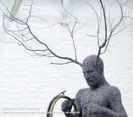 Screenshot of Julien Salaud _ histoire (sur)naturelle _ Beaux Arts